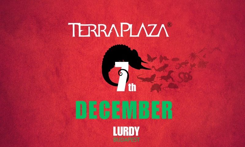 TerraPlaza 60. December