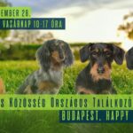 Tacskó találkozó - Kutyás nap Budapesten