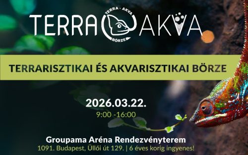 Terra Akva Börze Budapest