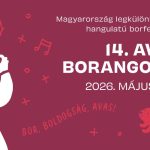 Avasi Borangolás Miskolcon