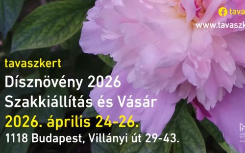 Dísznövény kiállítás 2026
