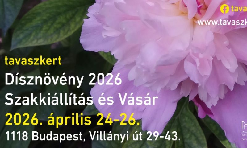 Dísznövény kiállítás 2026