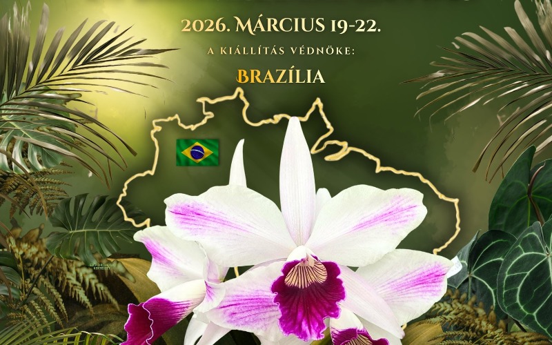 Orchidea és borélia kiállítás