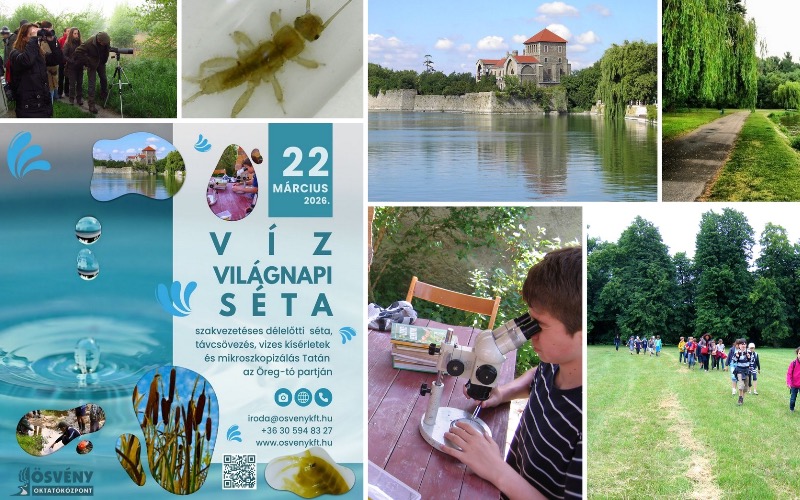 Kirándulás az Öreg-tónál Tatán 2026