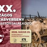 Gulyásverseny Hortobágyon!