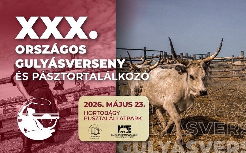 Gulyásverseny Hortobágyon!