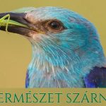Fotó kiállítás Egerben