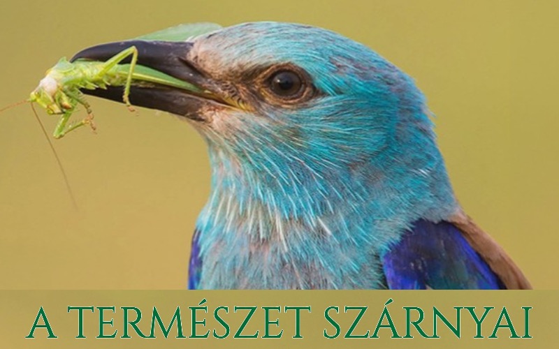 Fotó kiállítás Egerben