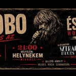 Hobo Miskolc