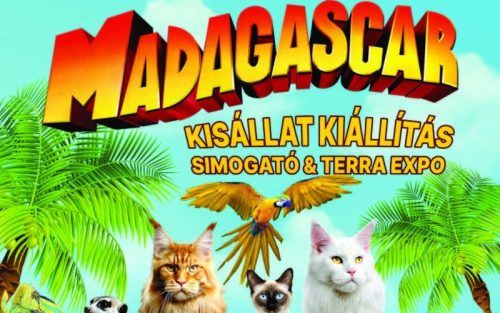 Budapest Kőbánya