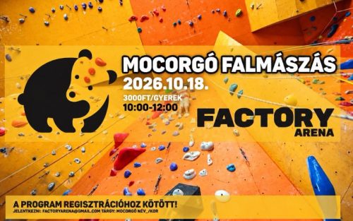 gyermek falmászás - sport -miskolc