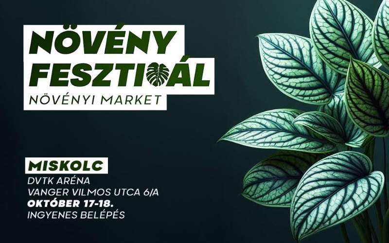 Növény fesztivál Miskolc